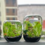 Wholesale Glass Vase HP-002 - Image 3